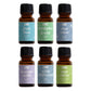 6 Pack Fragrance Oil Set for Home & Car | Long Lasting Scent Oils for Diffusers, Candles, Fresheners