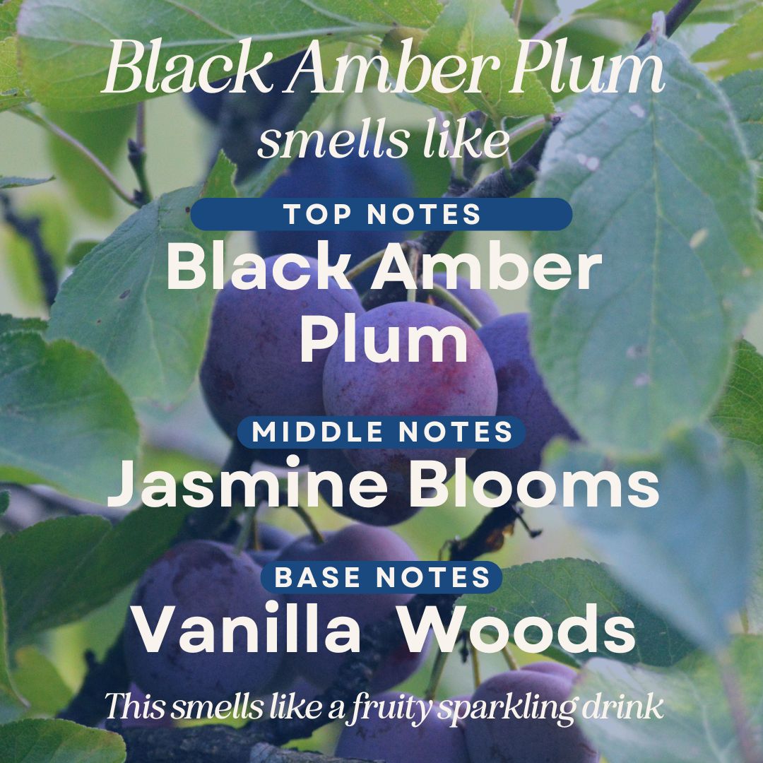 Black Amber Plum Room & Linen Spray by C&E Craft Co
