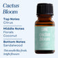 Cactus Bloom Premium Fragrance Oil
