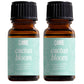 Scented Premium Fragrance Oil Multi Pack - Long-lasting Fragrance for Home