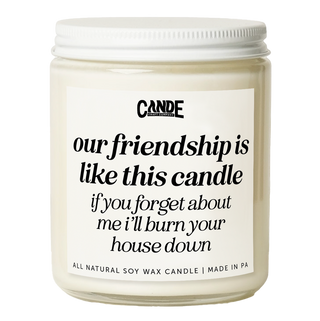 Our Friendship is Like A Candle If You Forget About Me I'll Burn Your House Down Candle