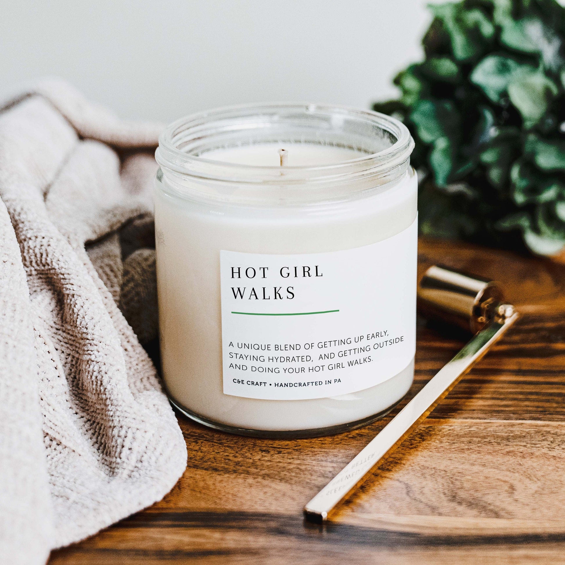 Hot Girl Walks Scented Candle C & E Craft Co 