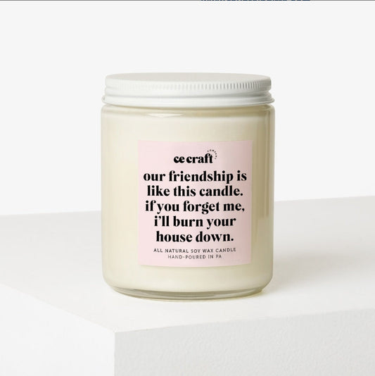 Our Friendship is Like A Candle Candle C & E Craft Co 